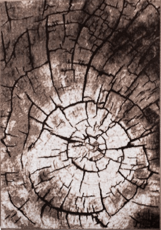 Ковер Лайла де Люкс 15851 10842