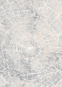 Ковер Визион 22114_25364