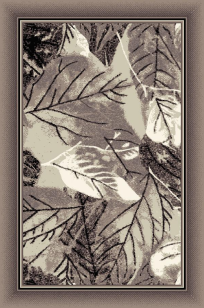 Карпет ЛИВС (17_34)