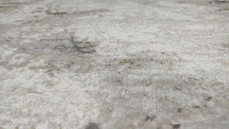 Дорожка Порто 20203 21048