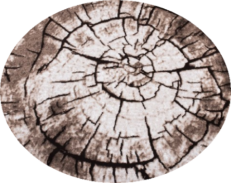 ковер лайла де люкс 15851 10842