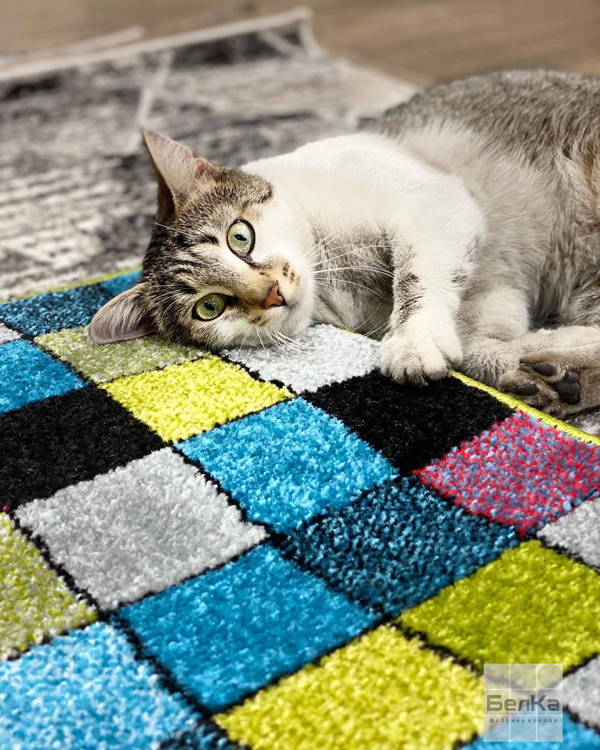 ковер фэнси 20719 22088