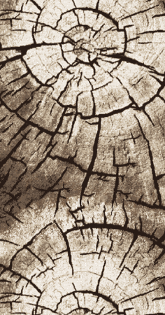 Дорожка Лайла де Люкс 15851 10842