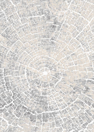 ковер визион 22114_25364